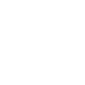 Ecosystem In AV