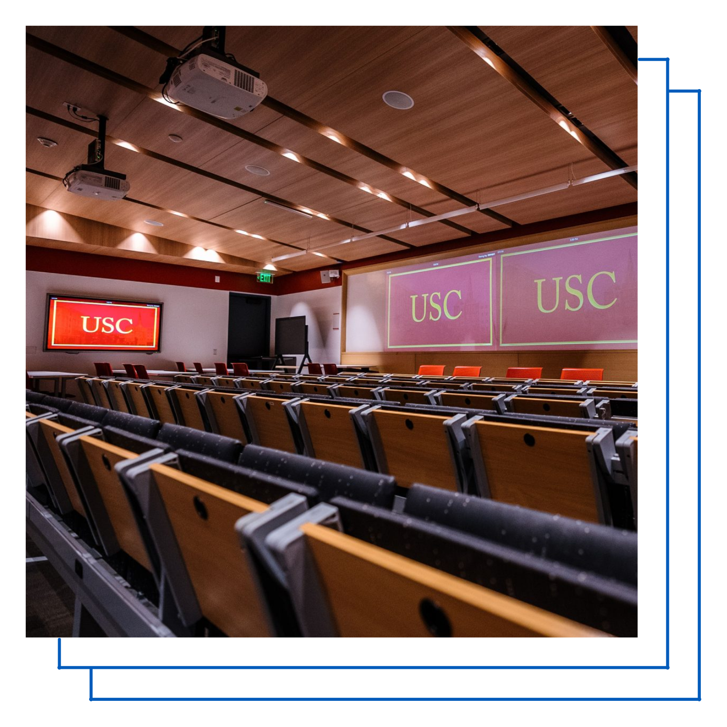 Displays  or Projectors