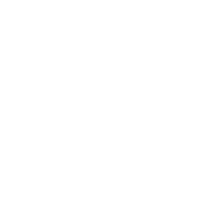 Engaged Learning