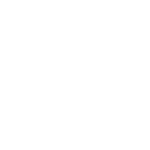 Reporting Icon