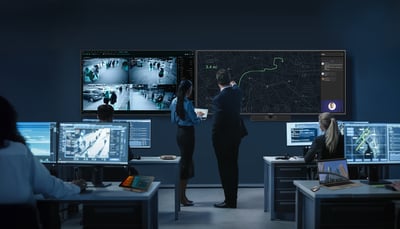 ViewSonic Government Graphic 1