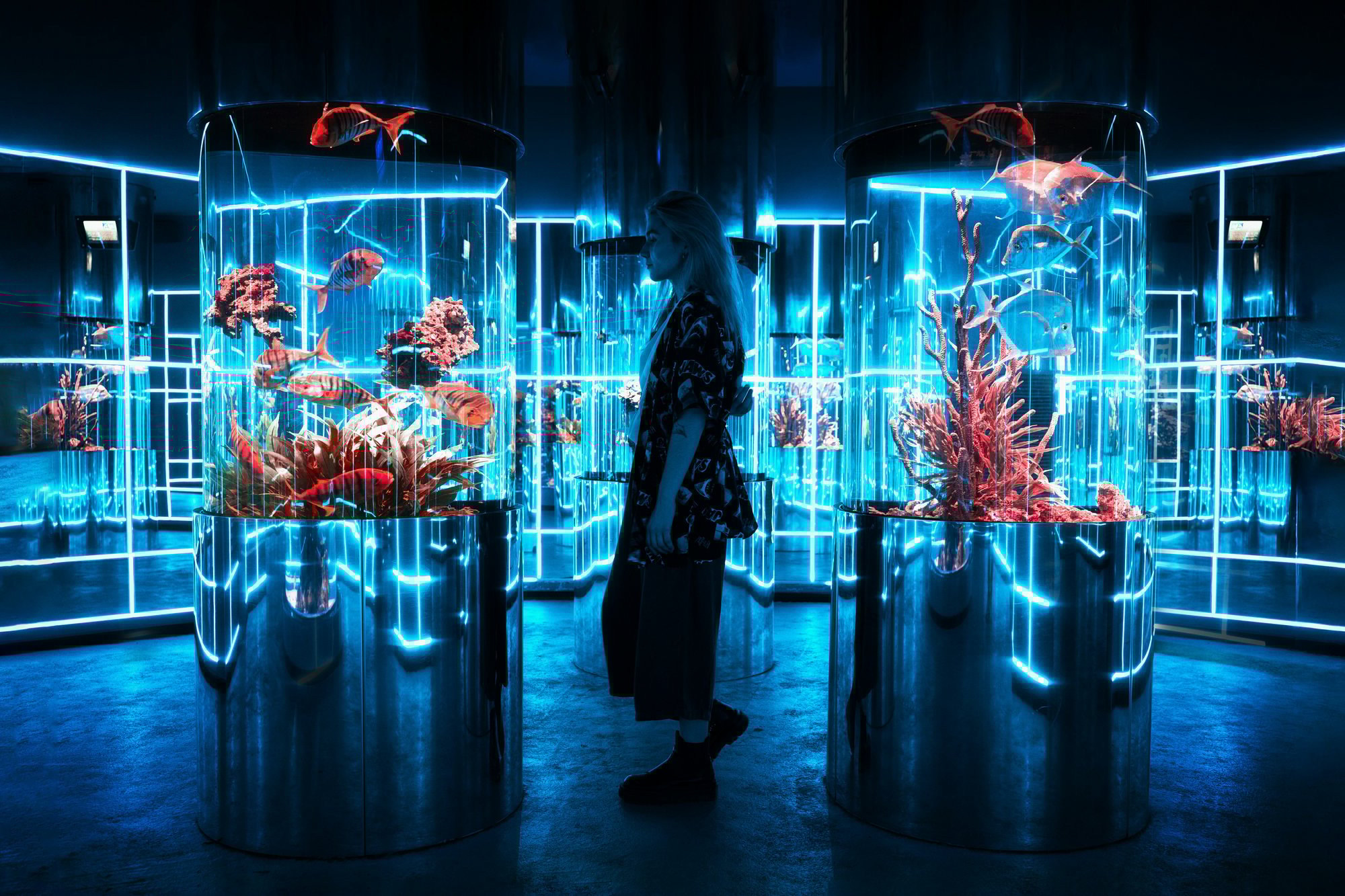 XD6-Immersive experiences (2)