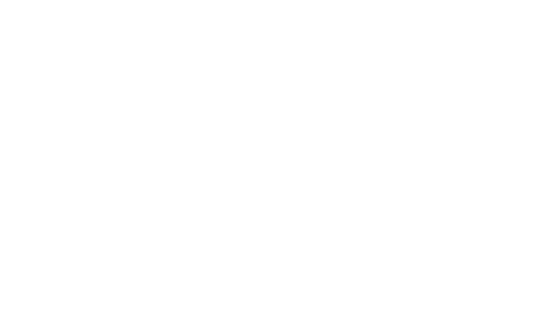brightsign ai