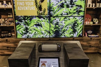 marijuana dispensary digital signage interactive experience