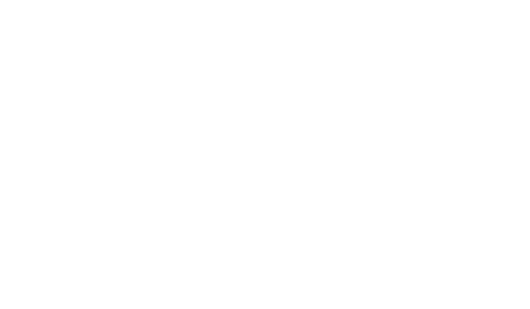solutionz ai